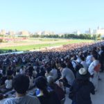 改めて松坂桃李君の凄さを思い知らされた札幌記念。今週は新潟2歳とキーンランドカップ！